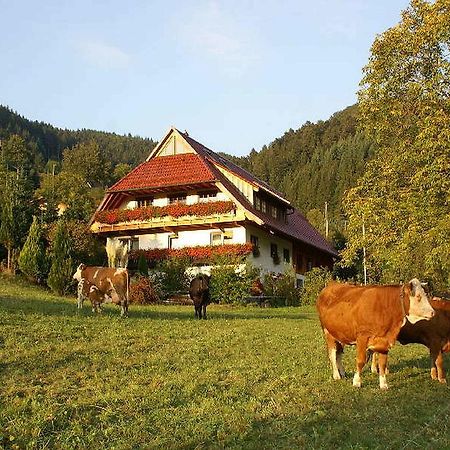 Unterer Gurethshof Apartman Zell am Harmersbach Kültér fotó