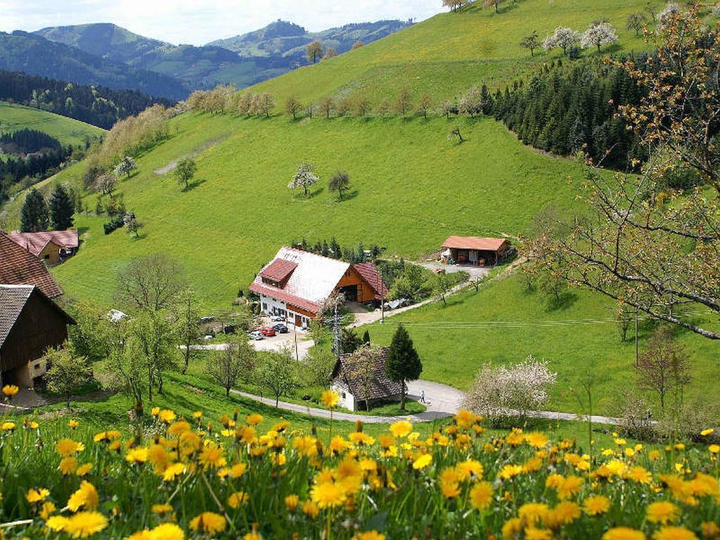Unterer Gurethshof Apartman Zell am Harmersbach Kültér fotó