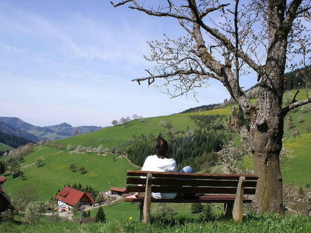 Unterer Gurethshof Apartman Zell am Harmersbach Kültér fotó