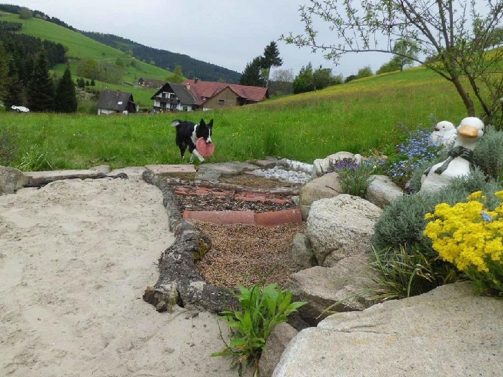 Unterer Gurethshof Apartman Zell am Harmersbach Kültér fotó