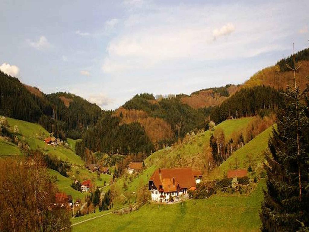 Unterer Gurethshof Apartman Zell am Harmersbach Kültér fotó