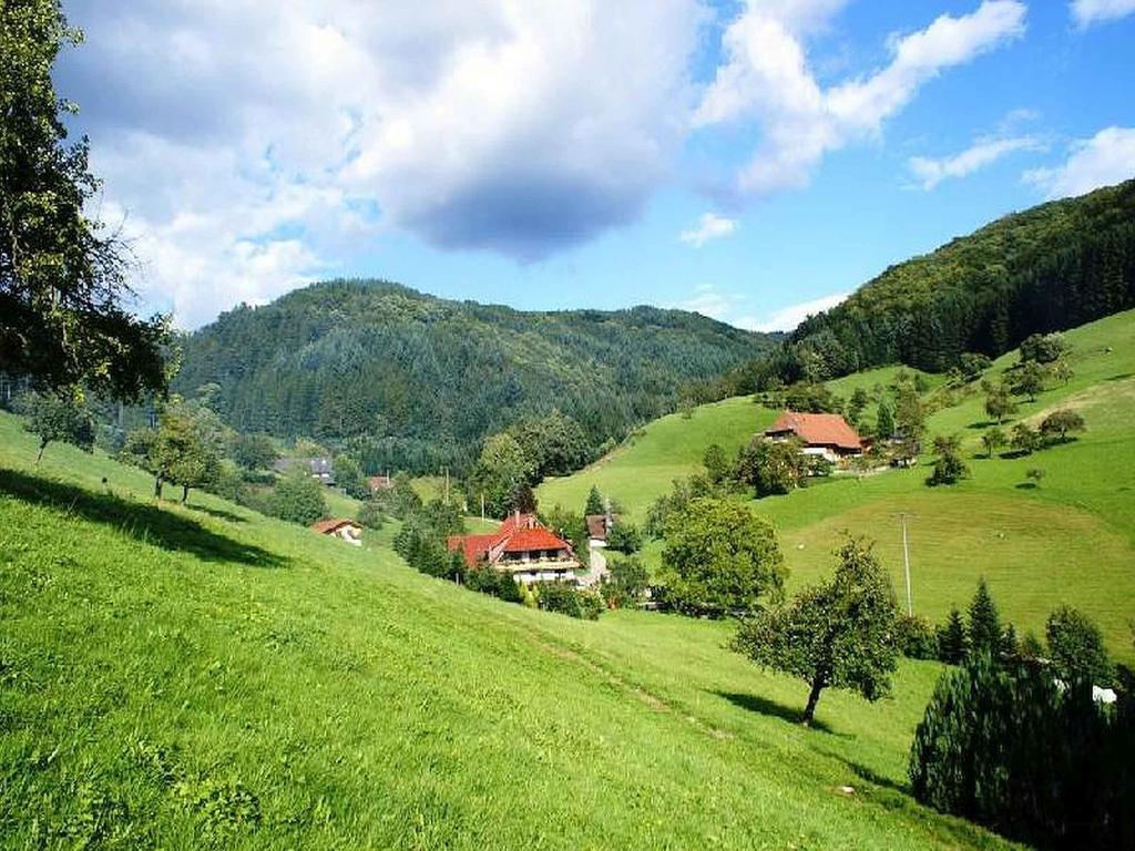Unterer Gurethshof Apartman Zell am Harmersbach Kültér fotó