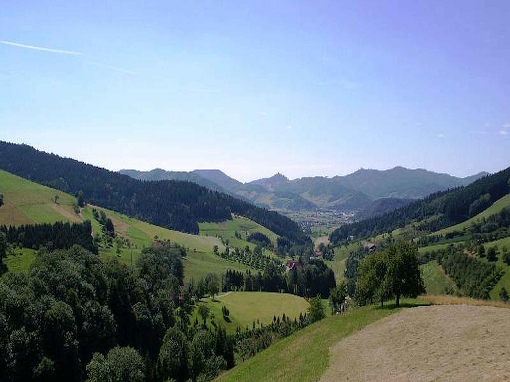 Unterer Gurethshof Apartman Zell am Harmersbach Kültér fotó