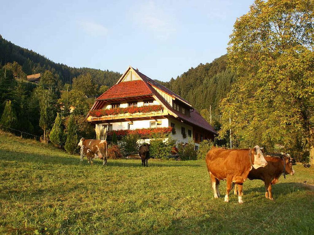 Unterer Gurethshof Apartman Zell am Harmersbach Kültér fotó