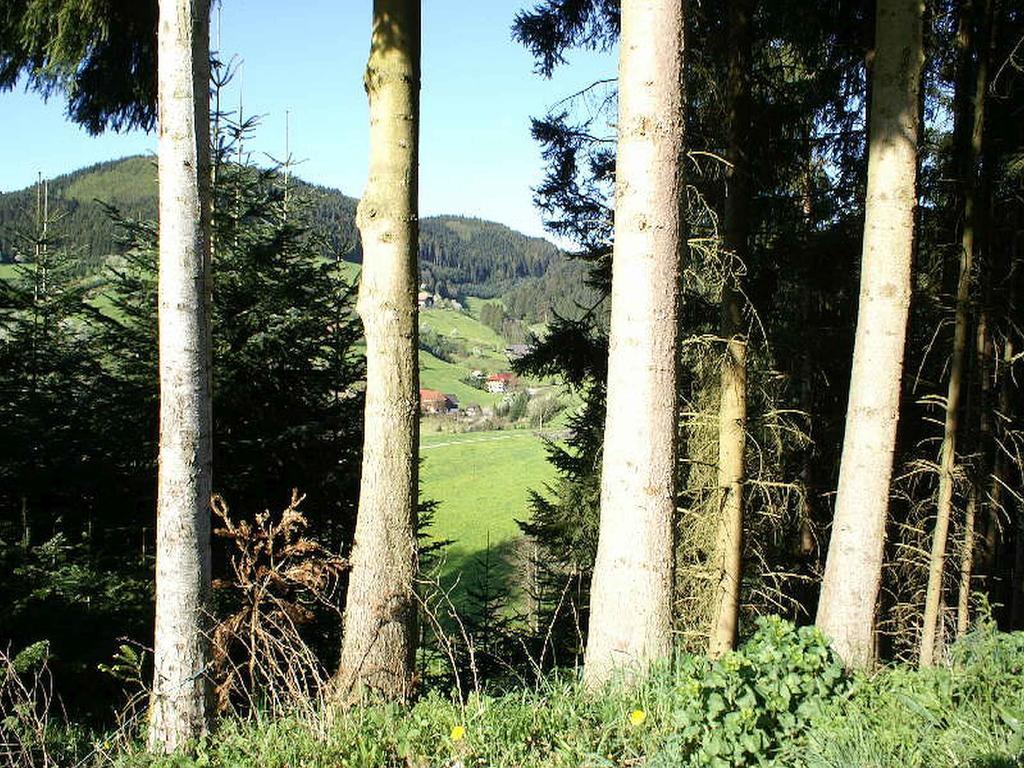 Unterer Gurethshof Apartman Zell am Harmersbach Kültér fotó